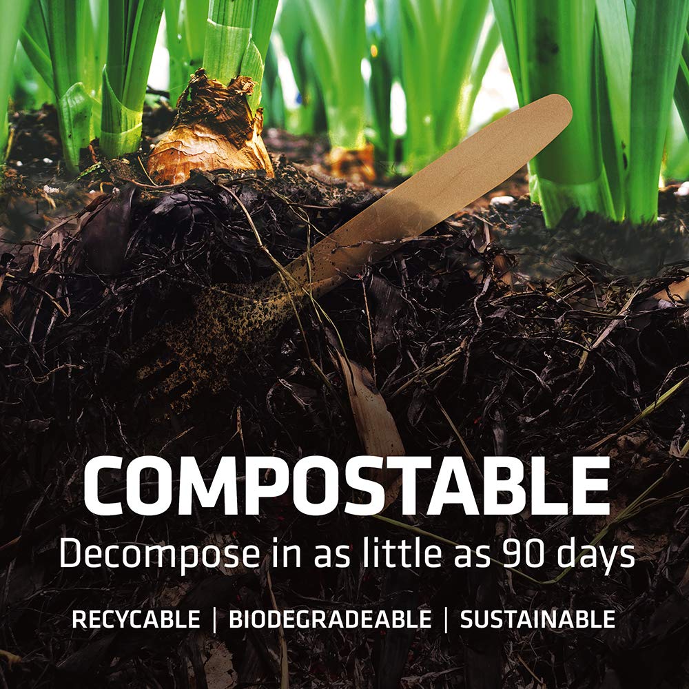 Disposable Wooden Cutlery Set - 100% Home Compostable - 100 Spoons 6.5", Bamboo Utensils Alternative, Eco-Friendly, Organic, Sustainable and Carbon Neutral Certified