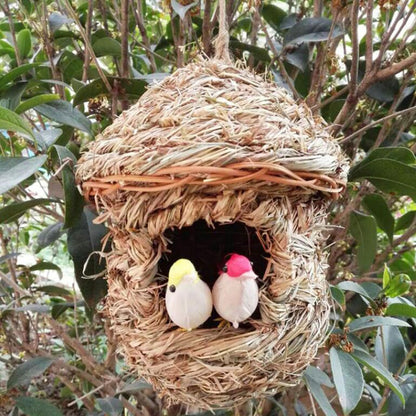 Handwoven Grass Bird House for Parrot Breeding and Hatching, Hummingbird Nest