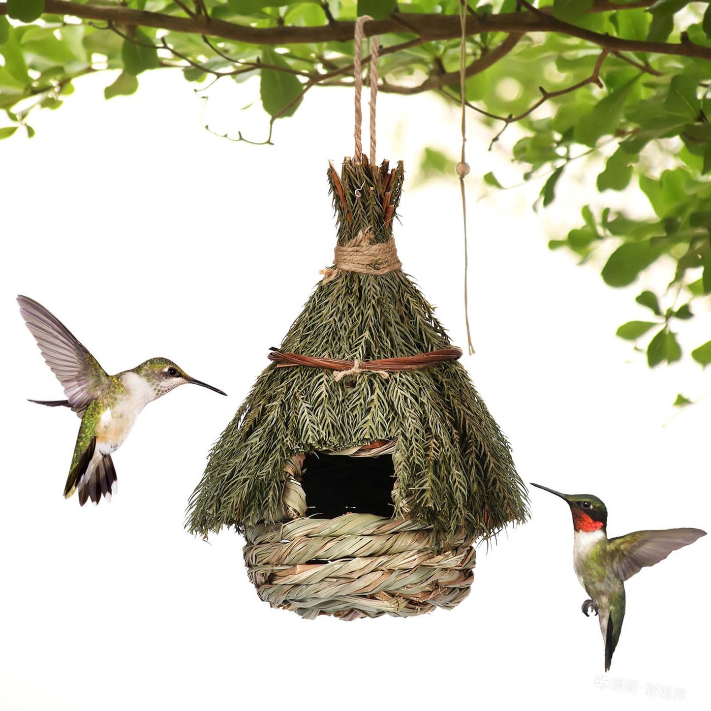 Handwoven Grass Bird House for Parrot Breeding and Hatching, Hummingbird Nest