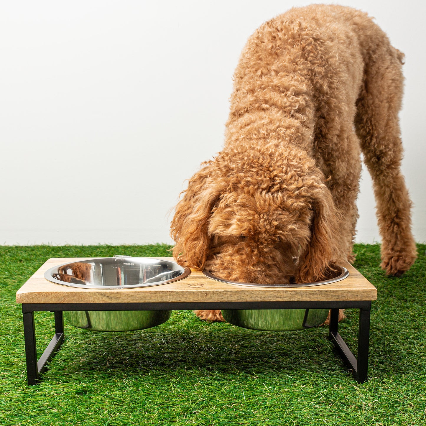 GF Pet Pet Elevated Feeder