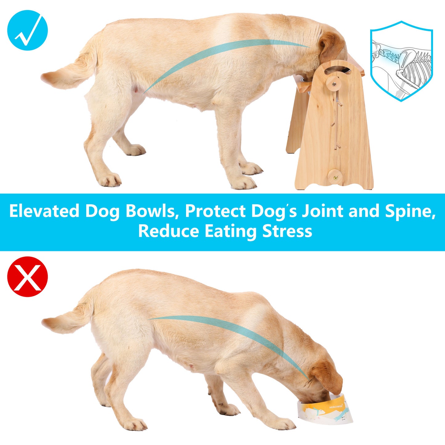 Elevated Dog Bowls for Medium Large Sized Dogs